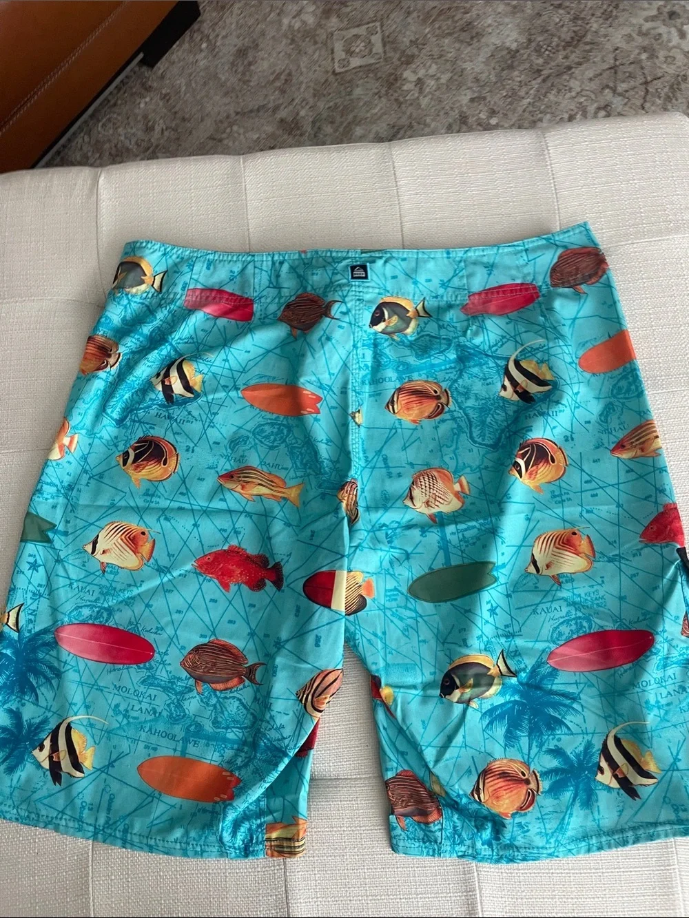 Reef Aqua Tropical Fish Surf Shorts with Multicolor Surfboard Print